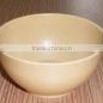 Biodegradable Bowl