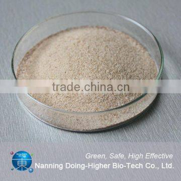 Alkaline Protease Apply to Feed Additive photo-2