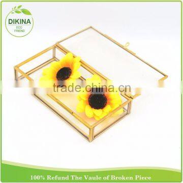 Small Brass Bound Glass Case - Trinkets Precious Things Display Crafts Photo USB Jewelry Packing Custom Magnetic Box With Lock photo-4