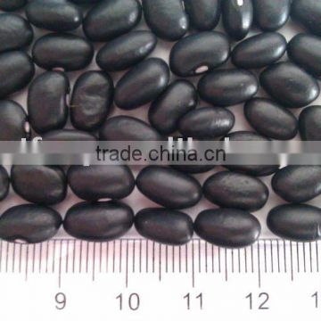 Chinese Small Black Kidney Bean