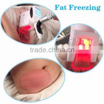 Hot Sale in South Africa Body Slimming Fat Freezing Machine for Sale photo-3