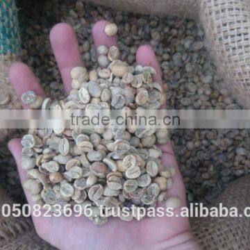 ARABICA GREEN COFFEE BEANS- High quality