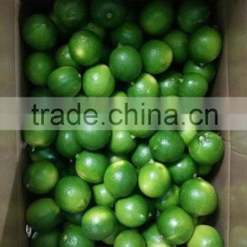 Seedless Lime