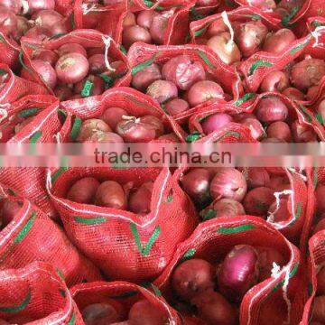 red onion for sale