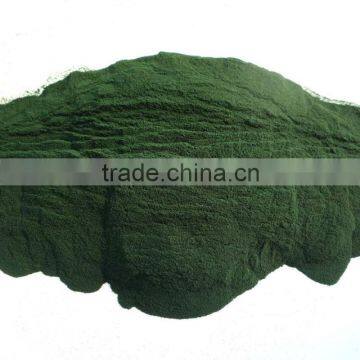 Dietary supplement Spirulina powder rich in Calcium