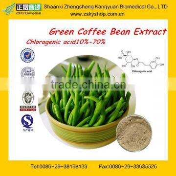 Best buy Green Coffee Bean Extract Chlorogenic Acid 50%