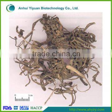 Portulaca oleracea for health care( Machixian)