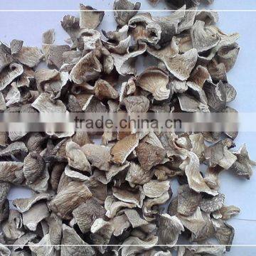 Dried edible pleurotus ostreatus mushroom