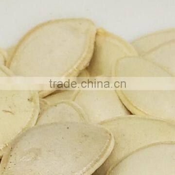 11mm Shine Skin Pumpkin Seeds in China