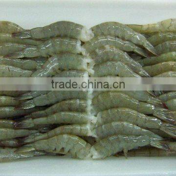 Grade A Frozen Shrimp Vannamei Price