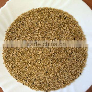 White mustard seeds