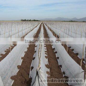 PP NON-WOVEN FABRIC FOR AGRICULTURE 12-150GSM