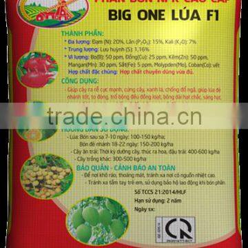 BIG ONE FOR RICE photo-4