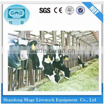 Calf Numbered Ear Tags For Sale