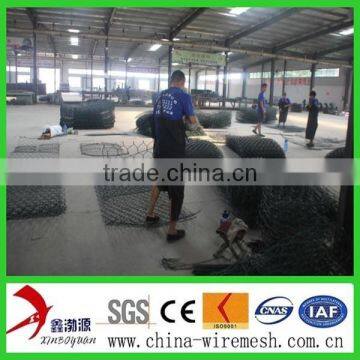Pvc Hexagonal Netting Mesh/hexagonal Mesh photo-4