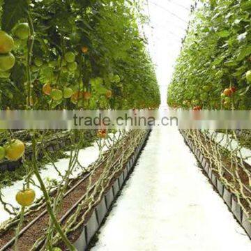 Grow Rough for Tomato / Vegtable