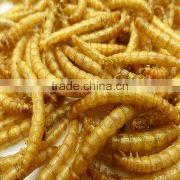 Koi and Pond Fish Foods High Protein 2.8cm Microwave Dried Mealworms photo-6