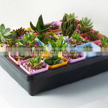 Plastic Raised Garden Bed photo-2