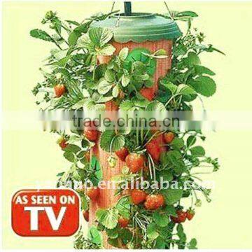 planter, strawberry planter