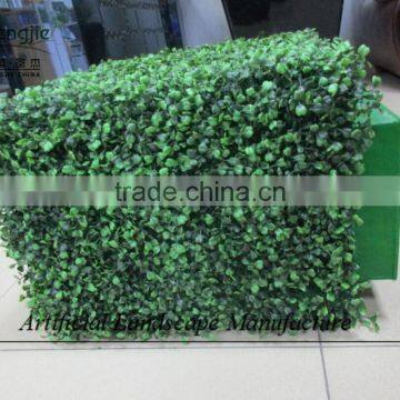 Indoor Artificial Plastic Boxwood Hedge for Decoration