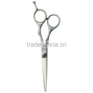 Professional Hairdressing Scissors