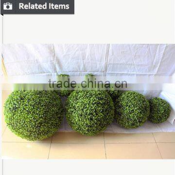 Potted Boxwood Tree for Christmas Decoration Store Decoration Boxwood Tree photo-3