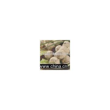 Mushroom & Pork Ball