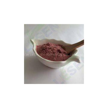 Black Currant Fruit Powder