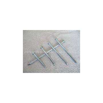 nail/ steel nail/galvanized nail