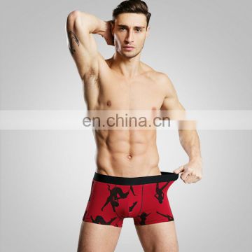 New Arrival High Fashion Modal Man Boxer Shorts Sexy Man Underwear