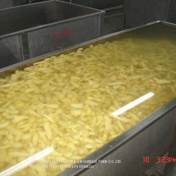 Frozen Ginger Puree 20g 1kg photo-2