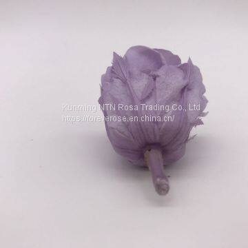 Wholesale3-4cm Elegant Real Touch Preserved Rose Flower photo-5