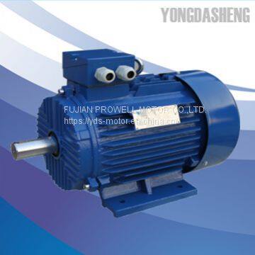Y2 Series Three Phase Cast Iron Housing Electric Motor