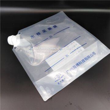 Made in China 5L Cow Milk PET Plastic Filling Bag/empty Stand up Large Spout Soft Composite Plastic Bag photo-4