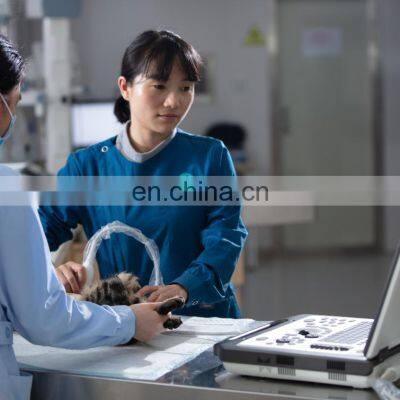 High Quality Products Veterinary Ultrasound Portable Full Digital Beam-former Diagnosis & Injection Seamaty 6.0kg SD1