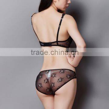 C67729A Hot Sale Lingeries Fancy Underwear Transparent Bra Set for Women photo-2