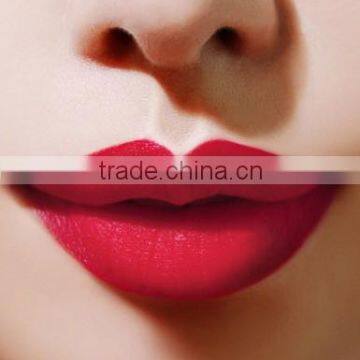 Customize Private Label Herby Lipstick Wholesale Matte Lipstick Brands Label Cosmetics Lipstick photo-5