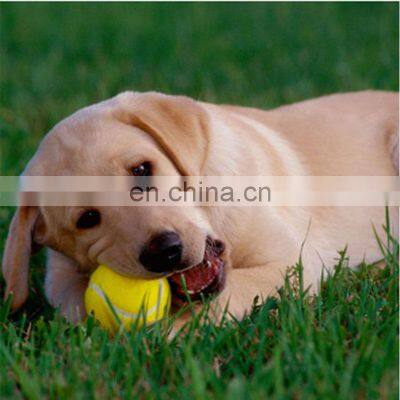 Durable Pet Dog Training Balls Customized Logo and Size Multi-color Tennis Ball photo-5