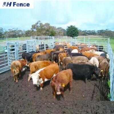 Electro-Galvanized Cattle Panels 10-Gauge Steel for Long-Term Pasture Use