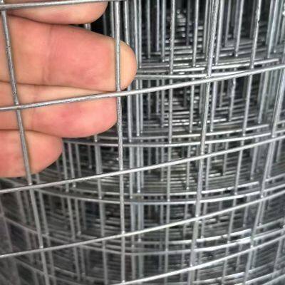Galvanized Welded Wire Mesh Rolls 0.5mm-14mm Gauge With 1/4