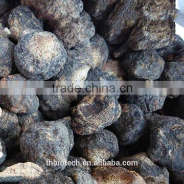 Manufacturer Pure Natural High Quality Maca Capsules photo-4