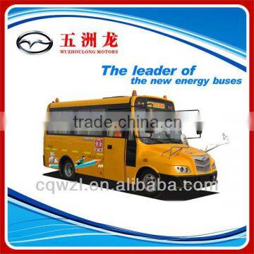 20 Seats America style School Bus for Sale