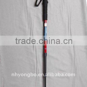 two section alum nordic walking stick