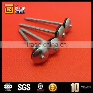 Bright Steel Nail ,umbrella Head Roofing Nails,large Head Iron Nails photo-4