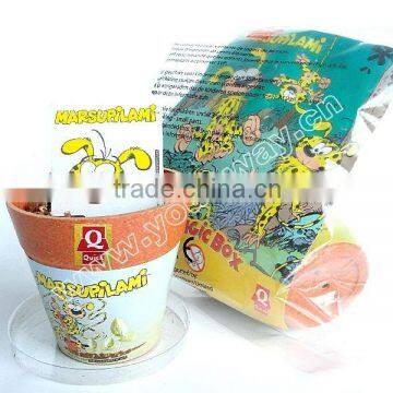 Can flower(degradable pot),pot plant,baby flower
