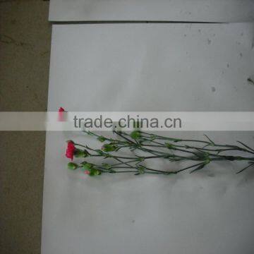 Elegant in Smell Factory Direct High Quality Flower Carnation photo-3