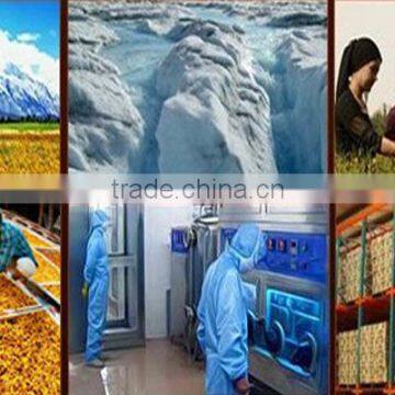 Super New Harvest Fresh Dry Flower Tea Anti Diabetes Traditional Herbs Kun Lun Mountain Dried Snow Chrysanthemum Herbal Tea photo-6