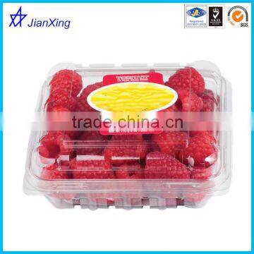 clear plastic Strawberry/blueberry/grape packaging container/box