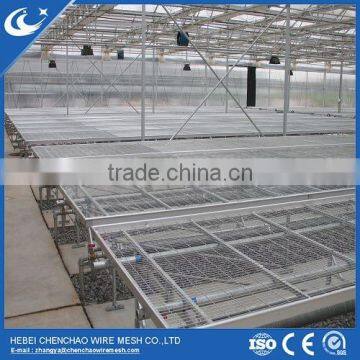 high quality of hot dipped galvanized growing greenhouse rolling benches