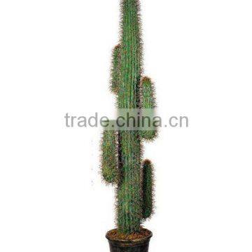 Artificial cactus 5heads